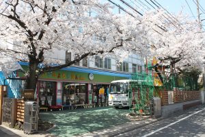 ぜん 幼稚園 みょう